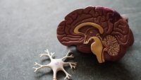 Microdosing LSD werkt niet beter dan een suikerpil bij ADHD