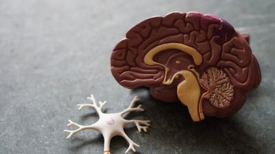 Microdosing LSD werkt niet beter dan een suikerpil bij ADHD